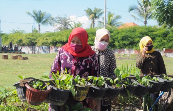 Motivasi Rajin Menanam, Ketua Persit KCK PD IX/Udayana Tinjau Ketahanan Pangan Denkav.