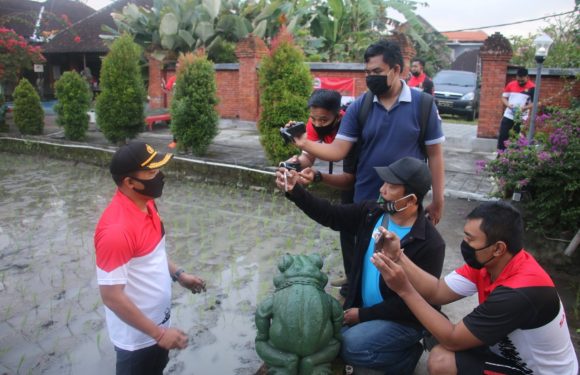 Rangkaian Hari Bhayangkara ke 74, Kapolres Gianyar Pimpin Kegiatan Bakti Sosial  Penanaman Padi di Wilayah Ubud.