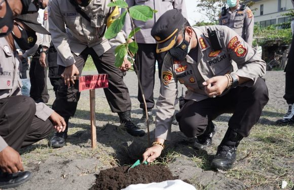 Pelepasan 150 ekor tukik dan penanaman 100 pohon ketapang.
