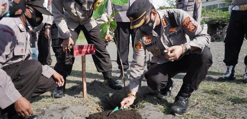 Pelepasan 150 ekor tukik dan penanaman 100 pohon ketapang.