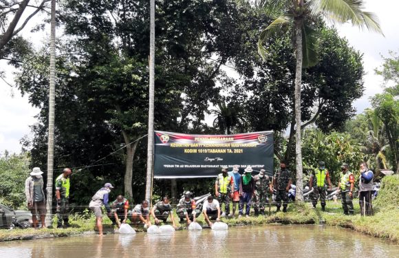 Kodim 1619/Tabanan Sebar Benih Ikan di Kelompok Budidaya Ikan Desa Babahan Tabanan.