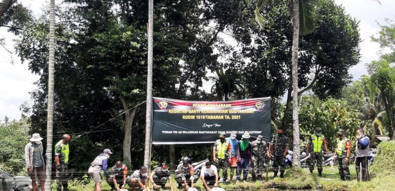 Kodim 1619/Tabanan Sebar Benih Ikan di Kelompok Budidaya Ikan Desa Babahan Tabanan.