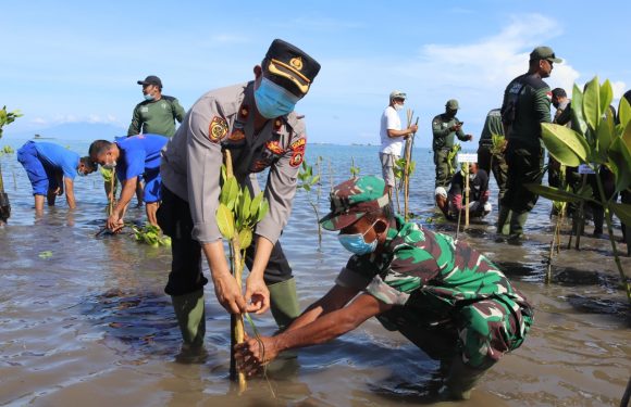 Persiapan KTT G.20 Tahun 2022 Kapolres Buleleng Melakukan Penanaman 1.000 Mangrove.