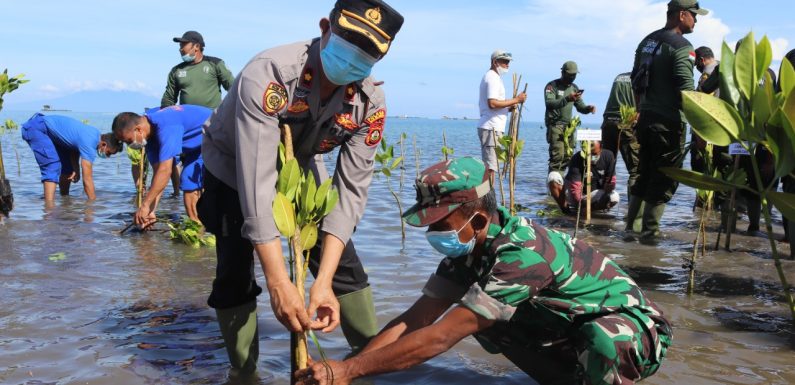 Persiapan KTT G.20 Tahun 2022 Kapolres Buleleng Melakukan Penanaman 1.000 Mangrove.