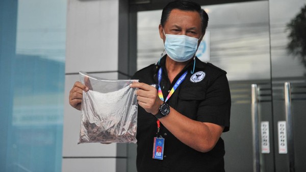 Korban Pecandu Narkoba Yang Melapor ke BNN Provinsi Bali, Dijamin Tidak akan Dipidana.