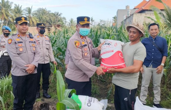 Kapolres Badung Serahkan 10 Zak Pupuk di Lahan Polisi Bersemi.