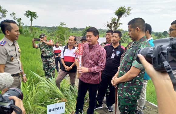 Percepat PTSL, Kementerian ATR/BPN Canangkan Pemasangan Patok Serentak