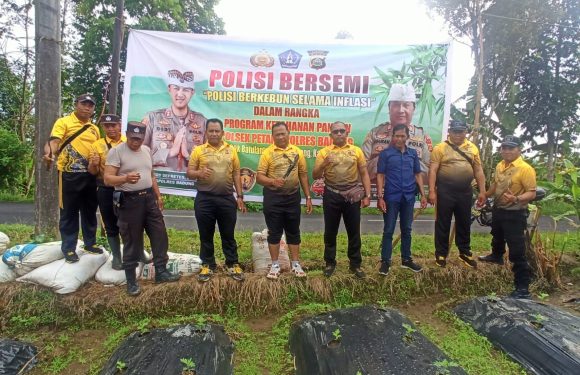 Polsek Petang Buka Lahan “Bersemi”.