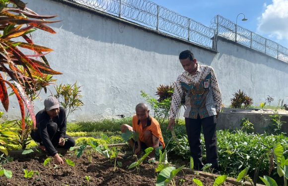 Maanfaatkan Lahan Sempit Jadi Produktif, Upaya Rutan Bangli Tingkatkan Ketahanan Pangan.