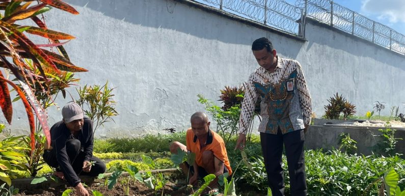 Maanfaatkan Lahan Sempit Jadi Produktif, Upaya Rutan Bangli Tingkatkan Ketahanan Pangan.