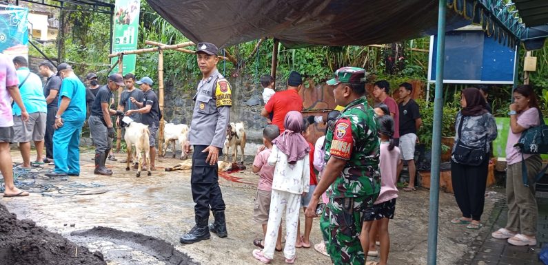 Babinsa Abianbase Pantau Kegiatan Pemotongan Kurban Pada Hari Raya Idul Adha 1446 Hijriyah.