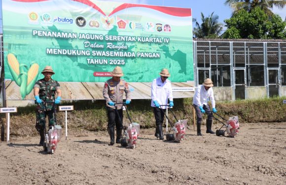 Kapolda Bali Pimpin Tanam Jagung Serentak Kwartal IV: Wujud Sinergi Polri, TNI, dan Pemerintah Perkuat Ketahanan Pangan.