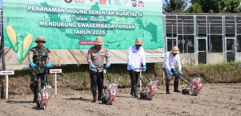 Kapolda Bali Pimpin Tanam Jagung Serentak Kwartal IV: Wujud Sinergi Polri, TNI, dan Pemerintah Perkuat Ketahanan Pangan.