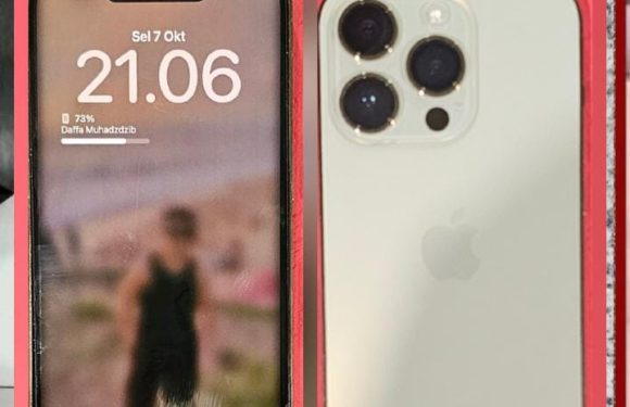 Unit Reskrim Polsek Denbar Ringkus Pencuri iPhone Bermodus Pembeli di PS Store.