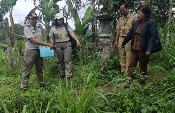 Tim Panitia A Kantor Pertanahan Bangli Lakukan Pemeriksaan Lapang di Desa Sulahan.