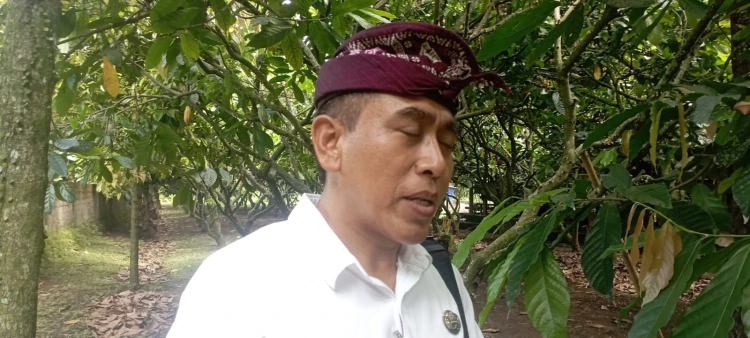 Tiga Sekolah Dasar di Jembrana Segera di Regrouping.