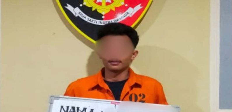 Tinggalkan Mobil di Bengkel, Toyota Alphard Digondol Maling, Dua Pelaku Dibekuk Tim Opsnal Polsek Dentim