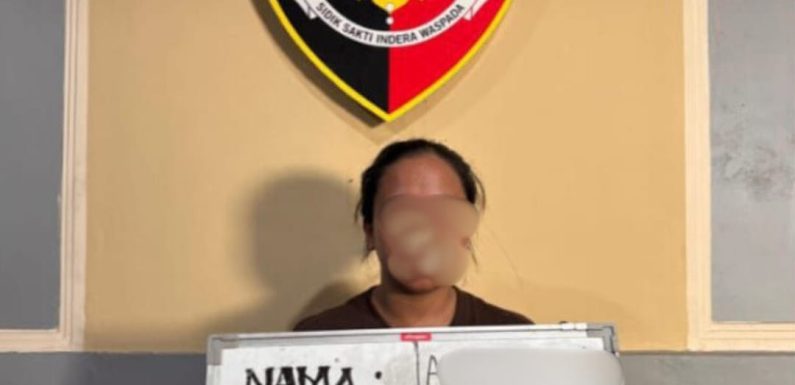 Polsek Dentim Ungkap Kasus Pencurian Uang dan Perhiasan di Kesiman Kertalangu, Seorang ART Diamankan.