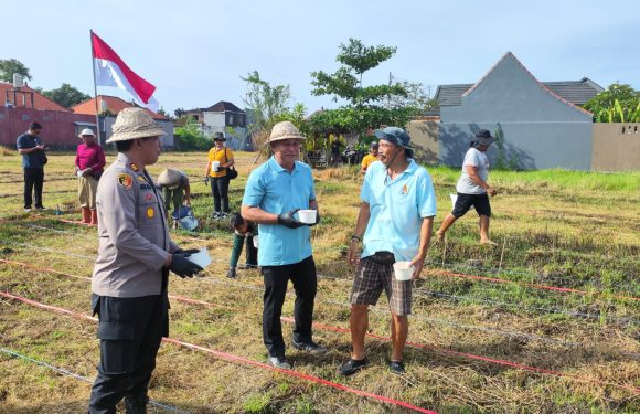 Polsek Denpasar Selatan Dukung Ketahanan Pangan Melalui Penanaman Jagung di Sanur Kauh