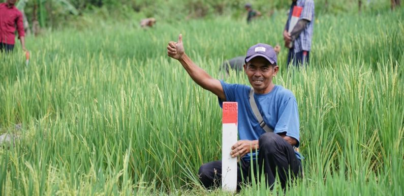 Jaga Keamanan Aset Tanah di Tabanan, Kantah Imbau Warga Pasang Patok Tanda Batas